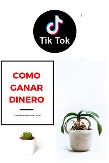 APRENDE COMO GANAR DINERO CON TIK TOK 