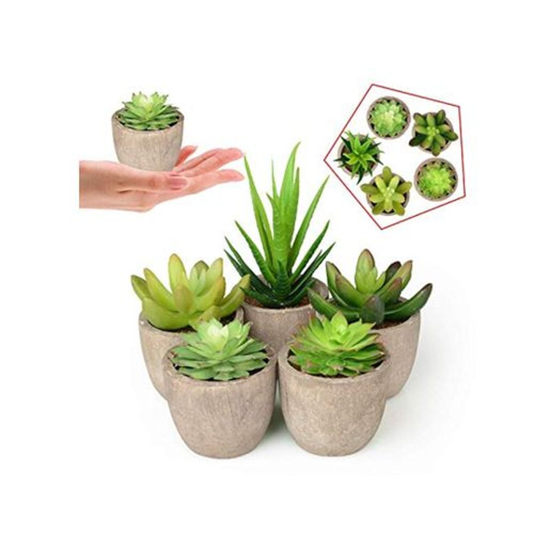 Social Plantas Suculentas Artificiales 5PCS Jardinera Suculenta Falso Plantas de Cactus Faux en
