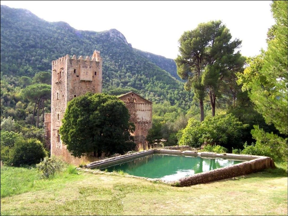 Places Monasterio de Santa Maria de la Murta