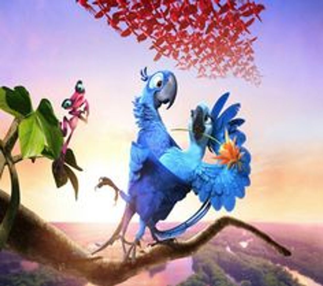 Fashion 💠Rio 2 