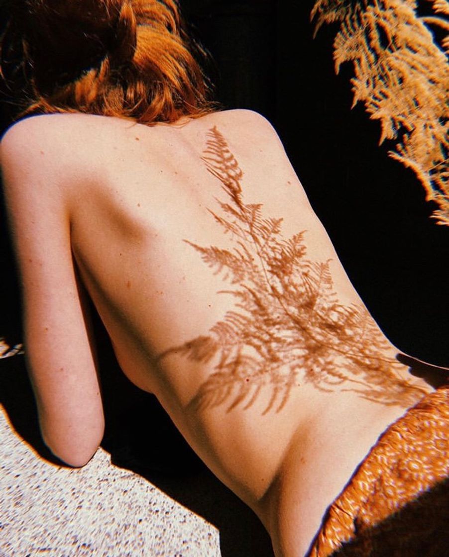 Social @thibaultleveque