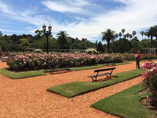 El Rosedal de Palermo