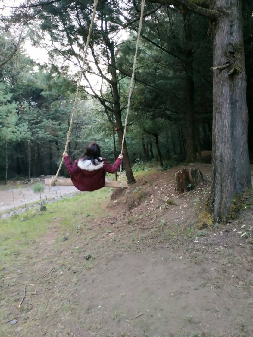 Social Parque san Nicolás 