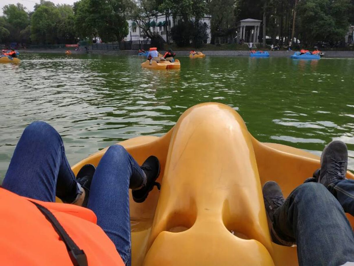 Place Lago de Chapultepec