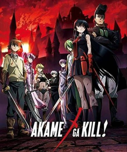 Akame Ga Kill