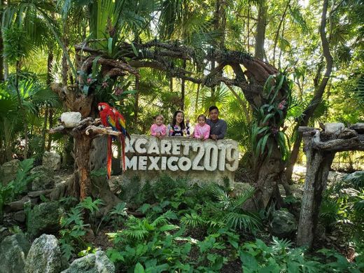 XCARET