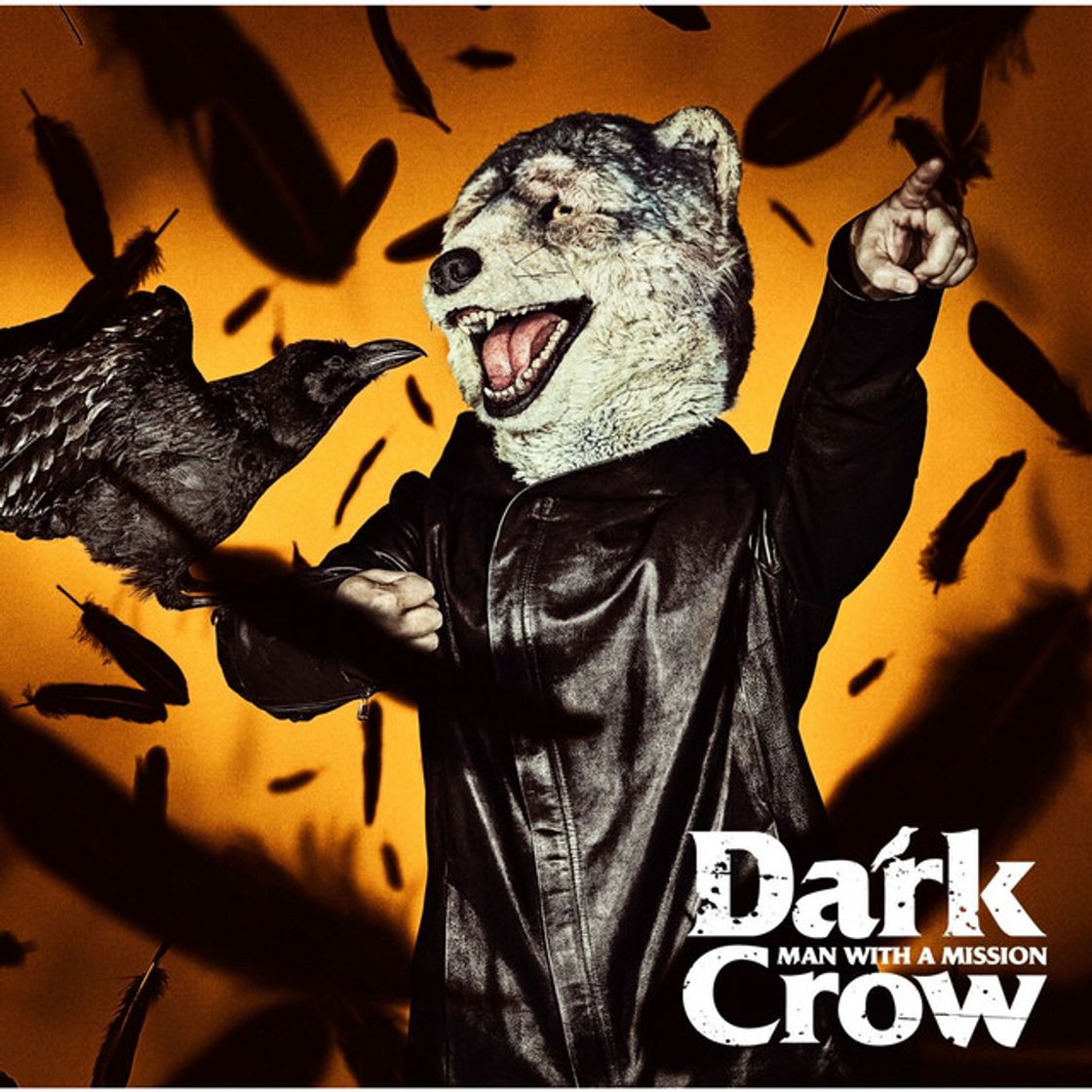 Music Dark Crow