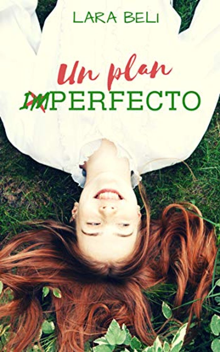 Libro Un plan imperfecto