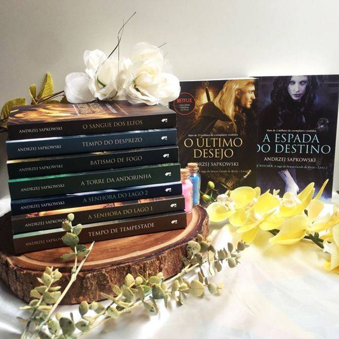Social Saga dos livros de The Witcher 