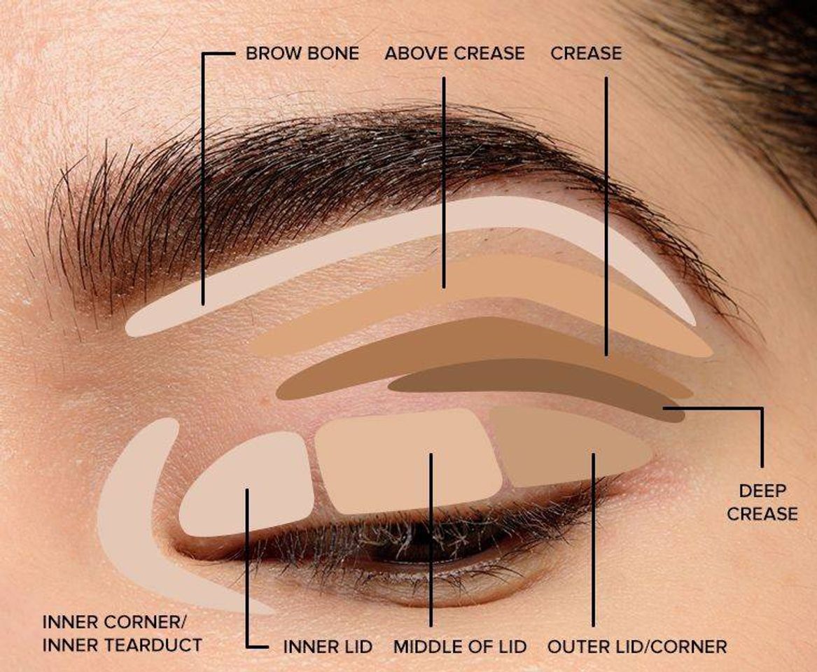 Social Eyeshadow passo a passo 