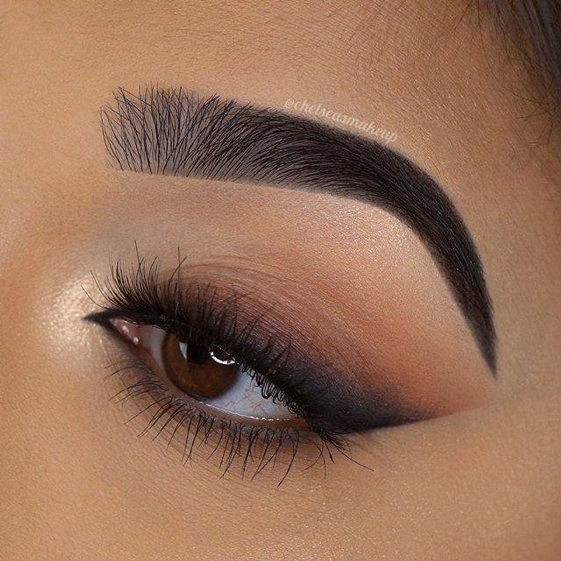 Social Eyeshadow 