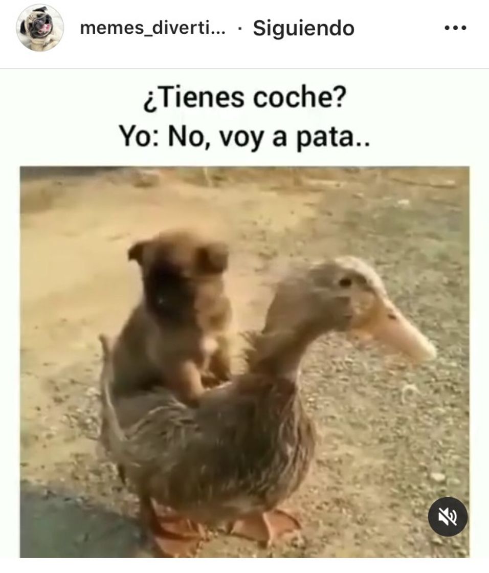 Social Literal 