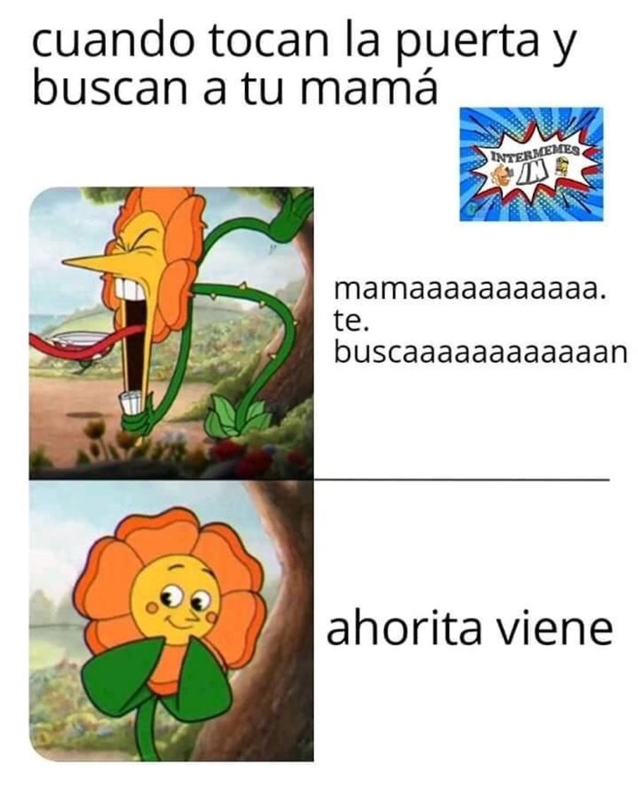 Social Meme: cuando la mamá tiene visita 😂