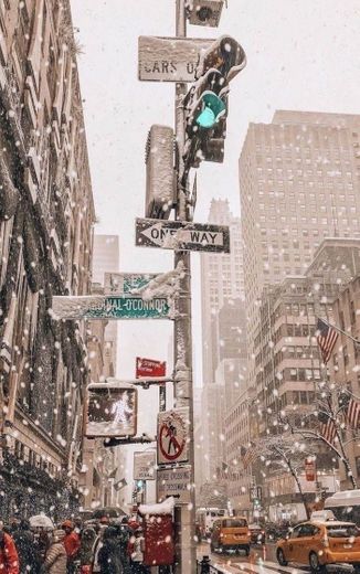 Fondo New York nevando