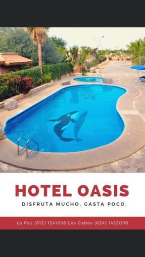 hotel oasis los cabos