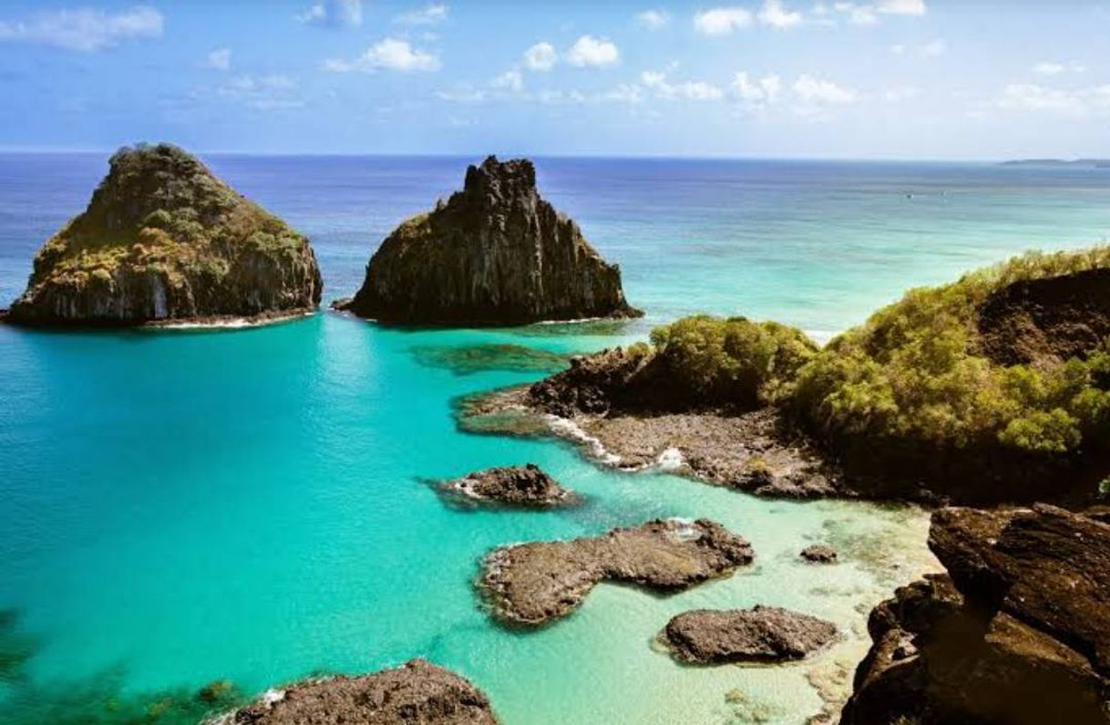 Social Conheça o Paraíso de Pernambuco. Fernando de Noronha....