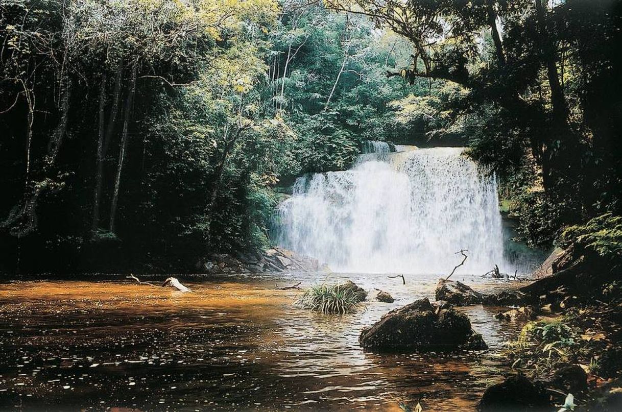 Lugar Presidente Figueiredo