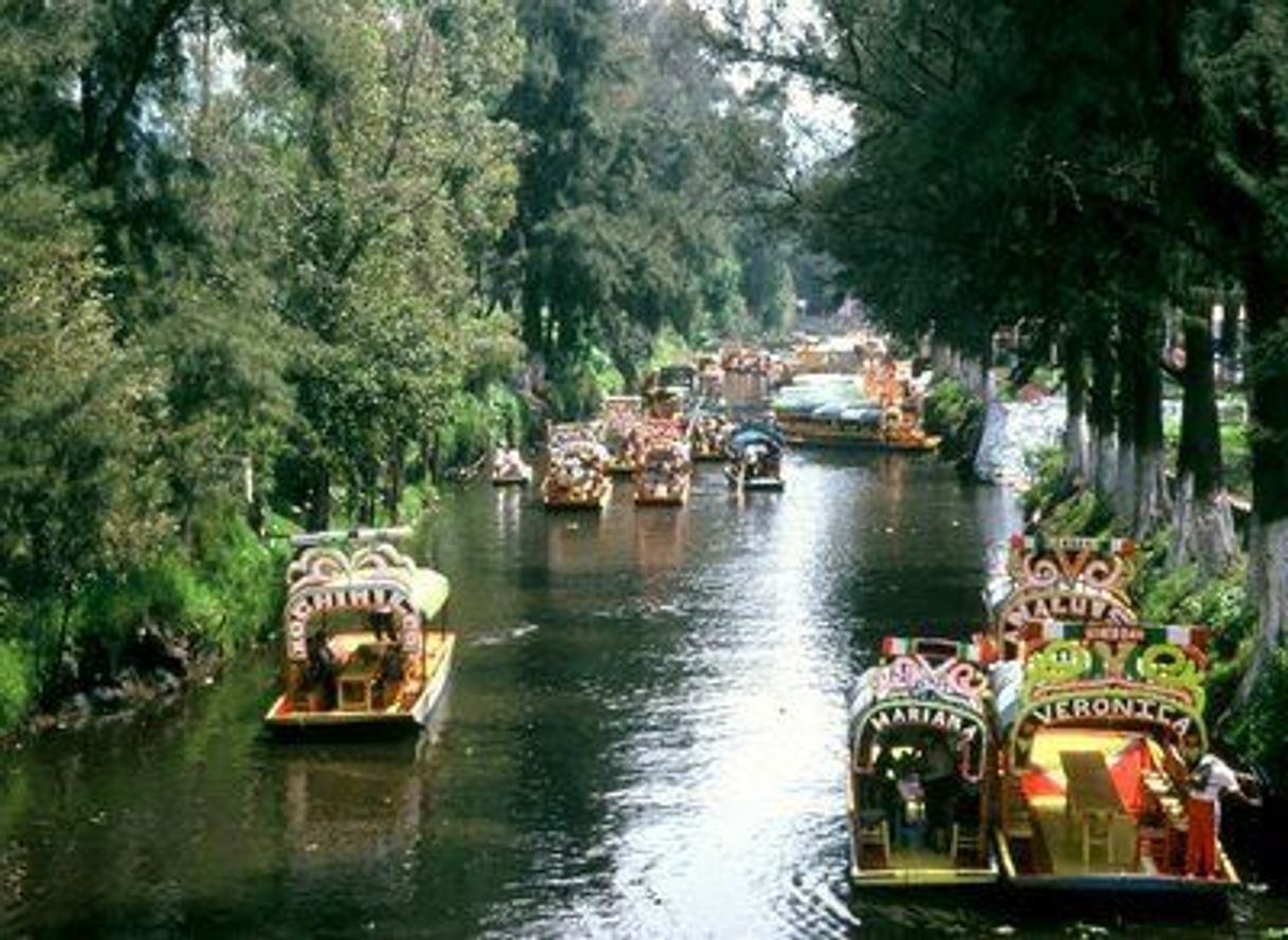 Lugar Lago de Xochimilco