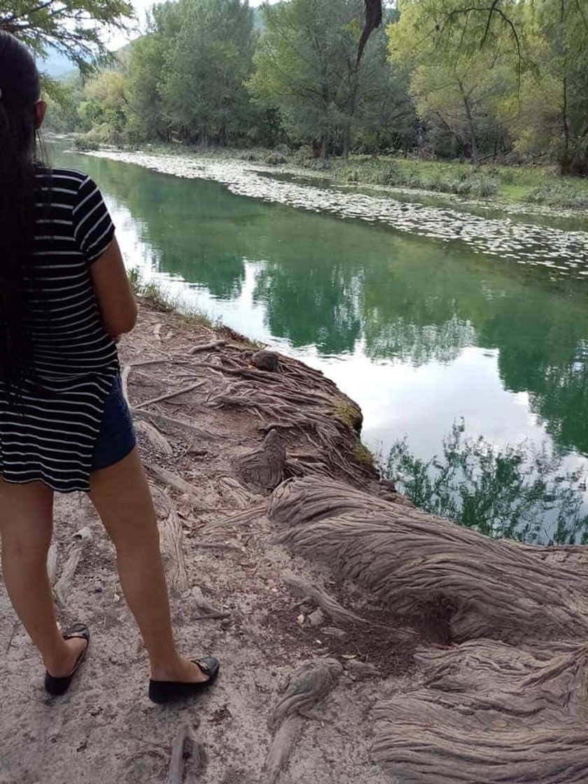 Lugar Parque El Charco del Lobo