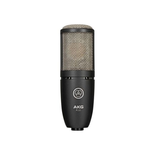 AKG P220