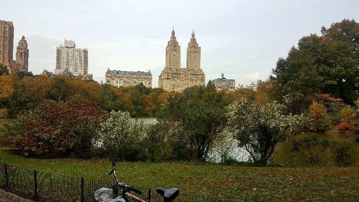 Lugar Central Park