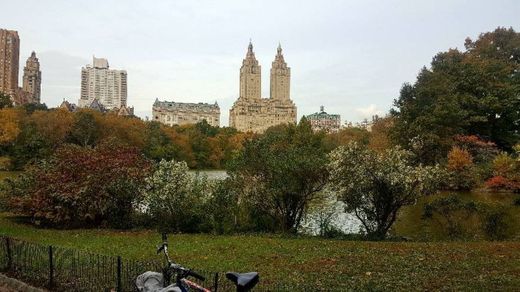 Central Park