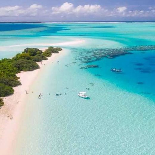 Los Roques Venezuela