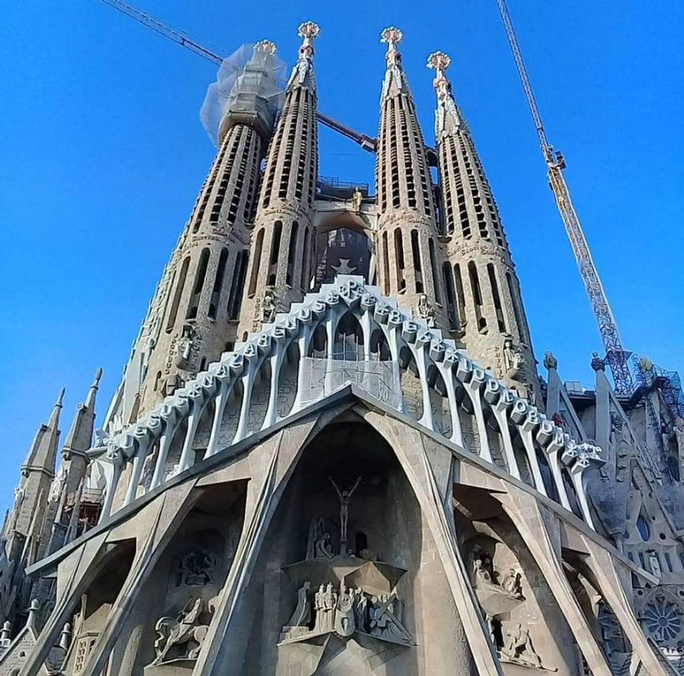 Lugar Basílica Sagrada Familia