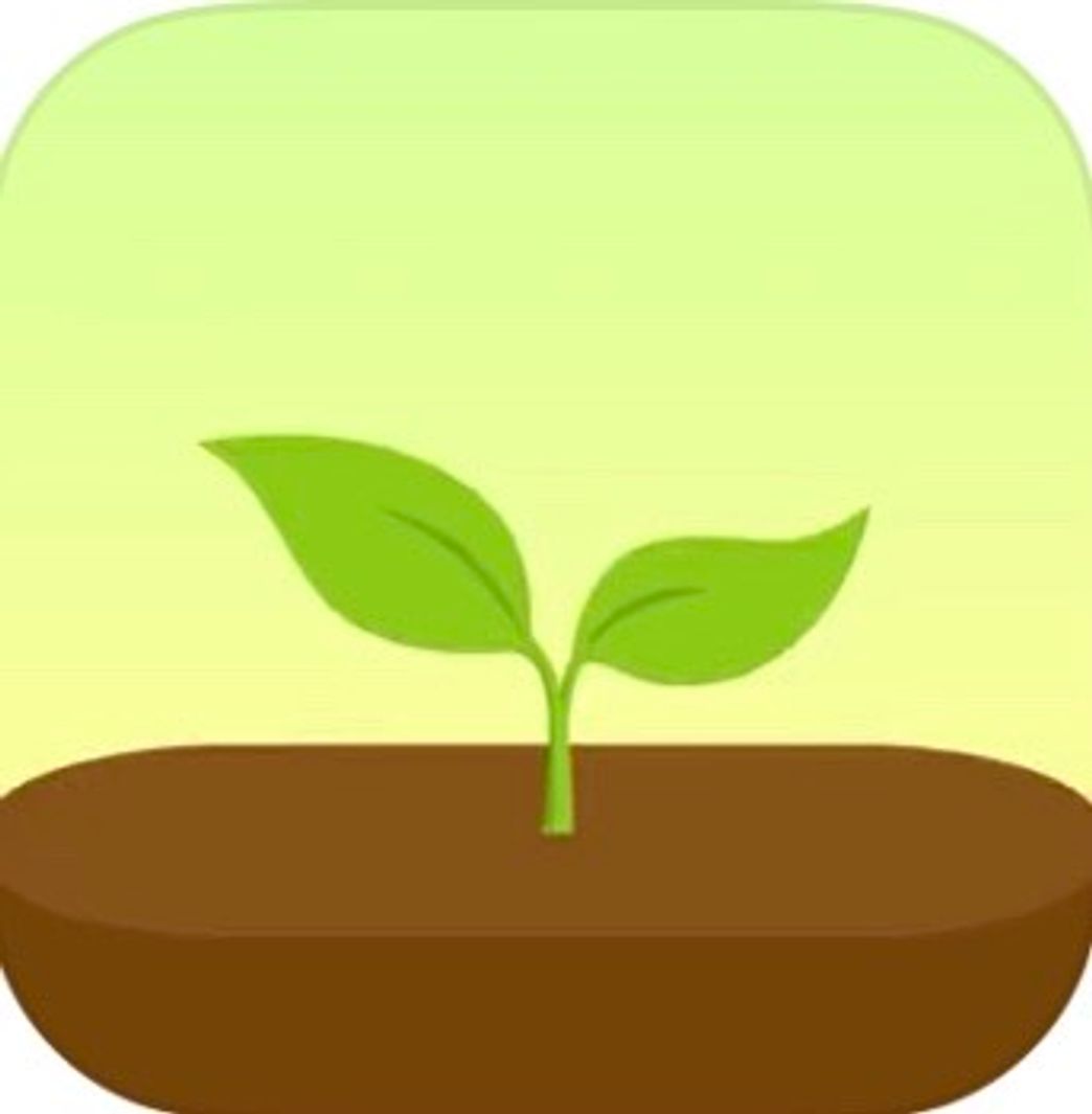 App Forest