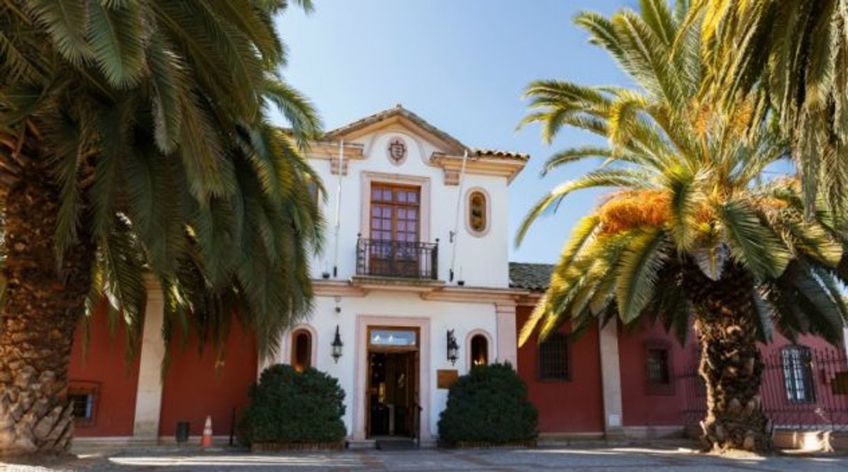 Place Museo de Colchagua