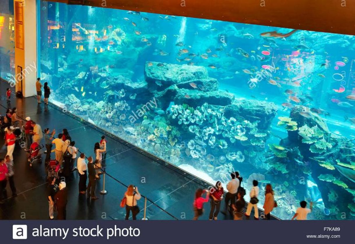 Lugar Dubai Mall