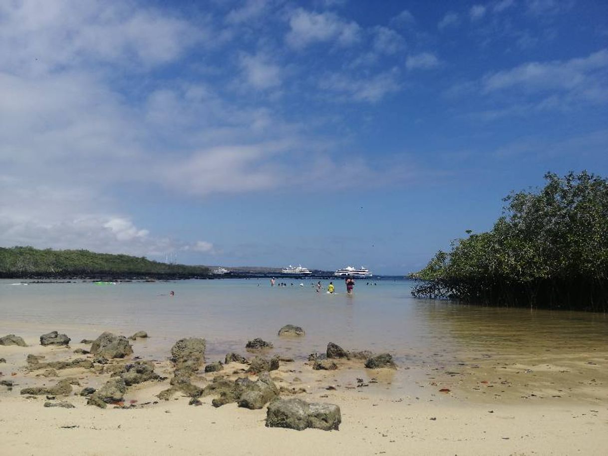 Place Galapagos Islands