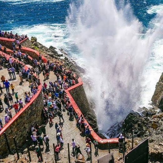 Tour Bufadora, Ruta del Vino y Puerto Nuevo • BajaViajes.com