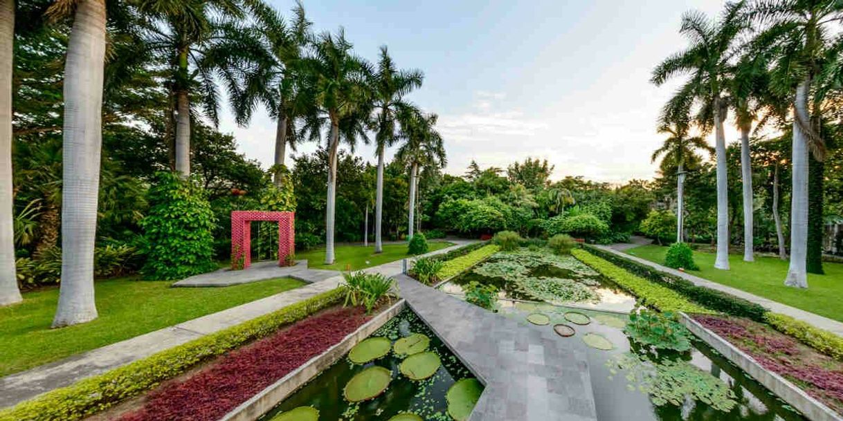 Lugar Jardín Botánico Culiacán