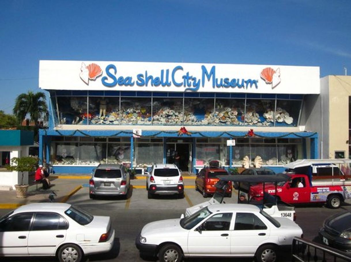 Lugar Sea Shell city "Museo de Conchas"