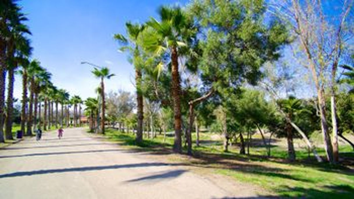 Place Parque morelos