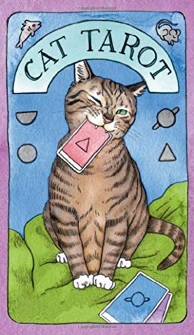 Book Cat Tarot