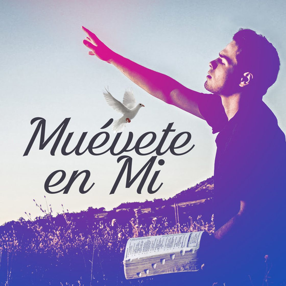 Oye Amigo Mío
