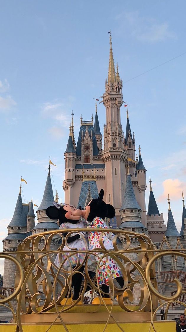 Place Disney World