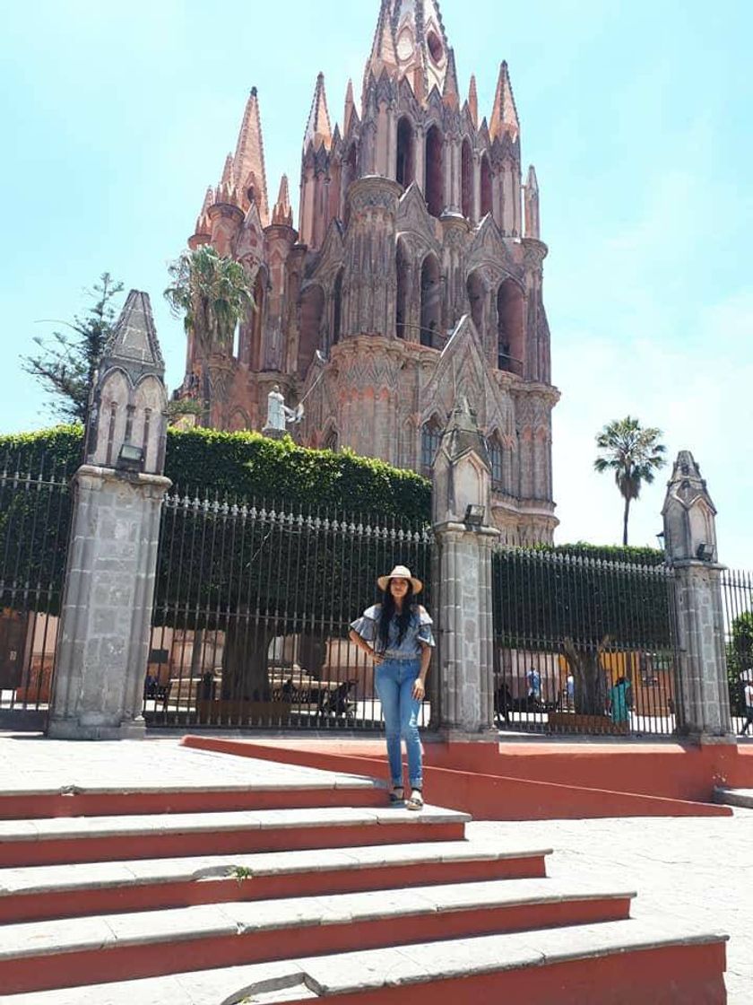 Place San Miguel de Allende