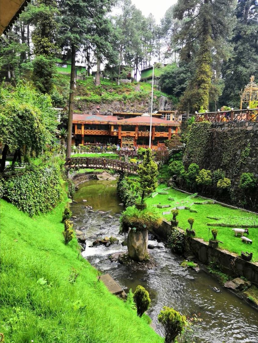 Restaurantes San Miguel Ameyalco