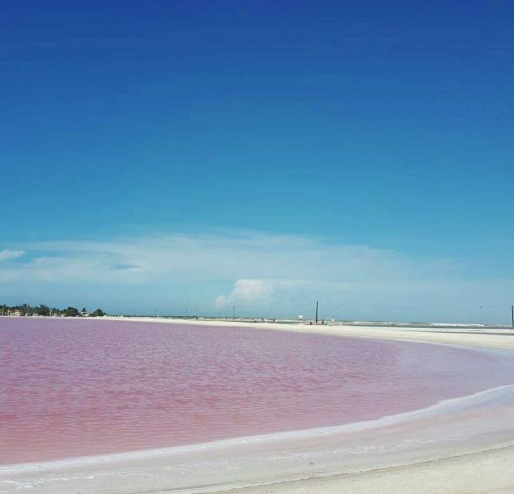 Lugar Las Coloradas Yucatan