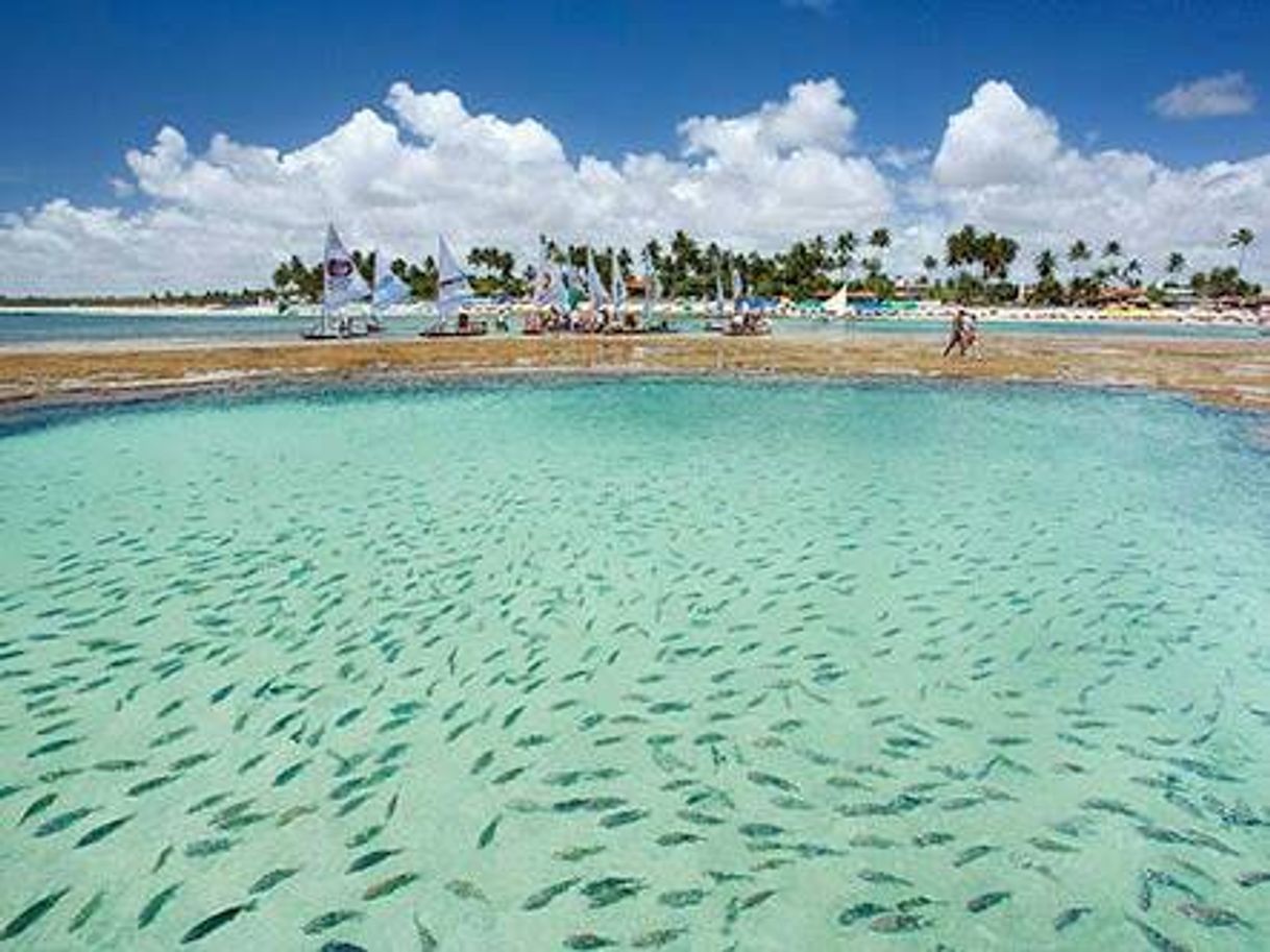 Lugar Porto de Galinhas