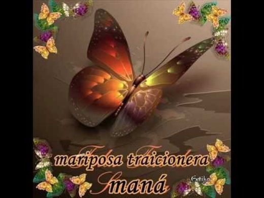 Maná - Mariposa traicionera - YouTube