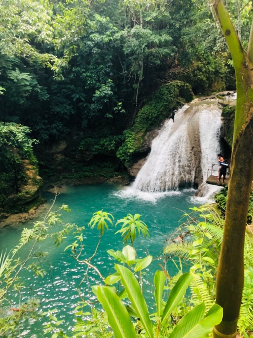 Place Island Gully Falls