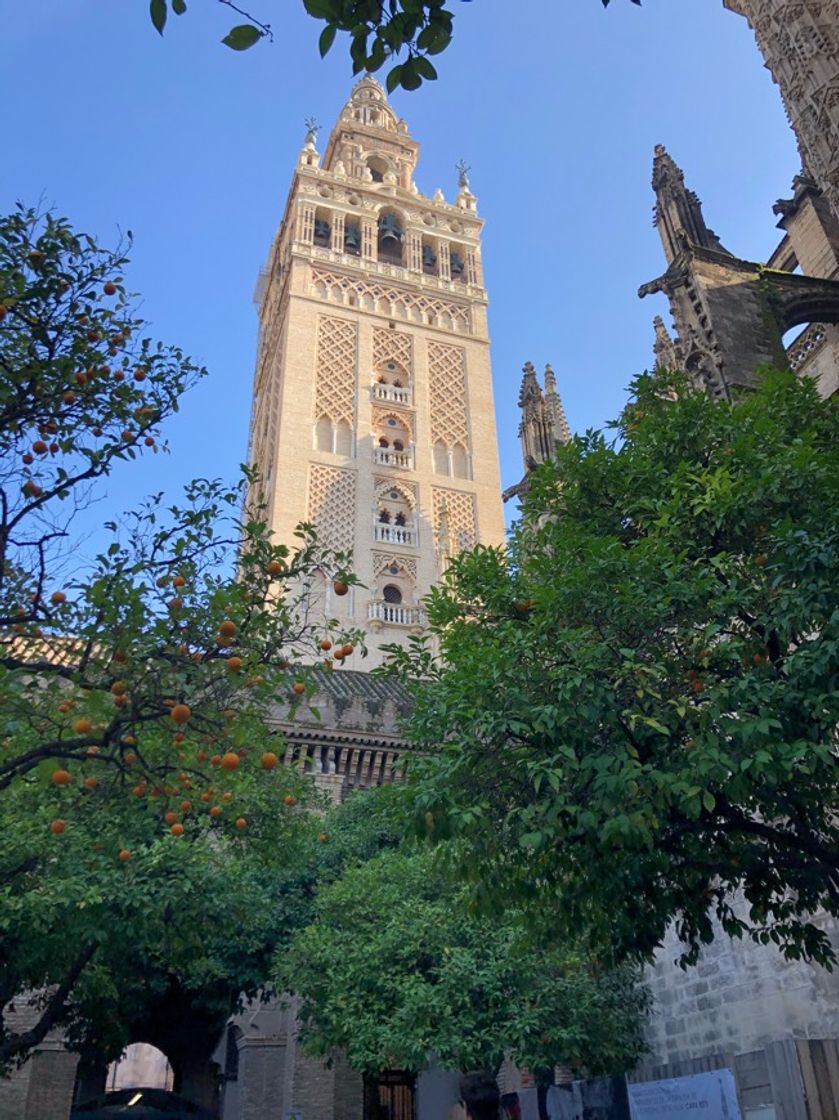 Lugar La Giralda 