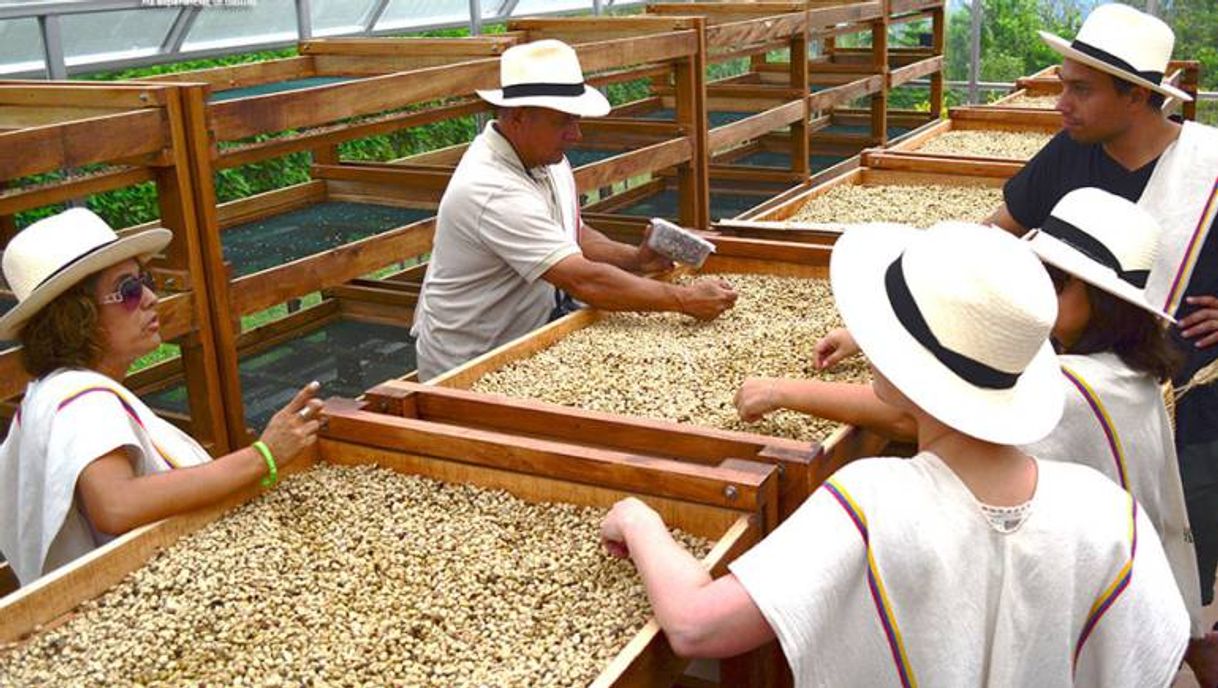 Place Finca del Café