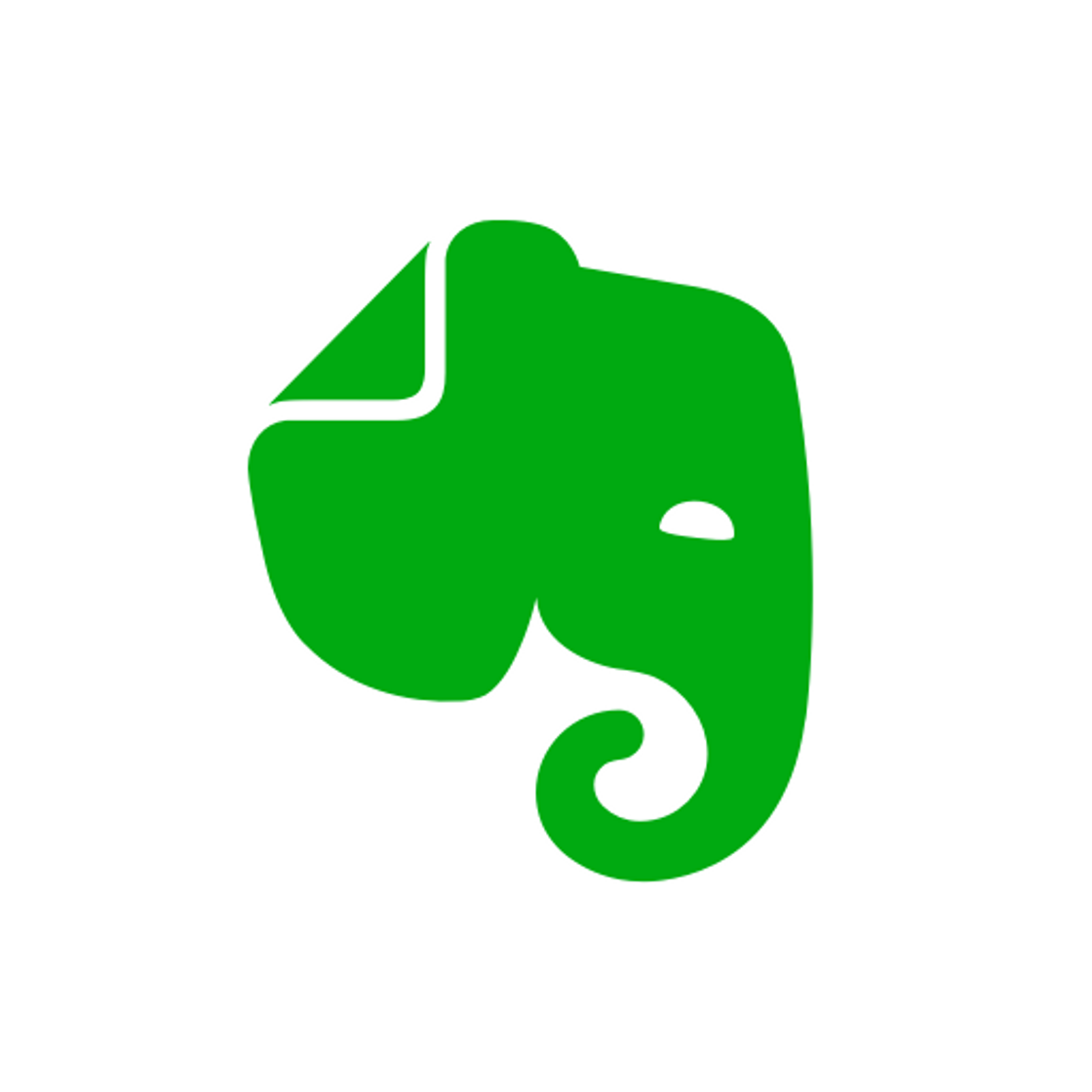 App Evernote