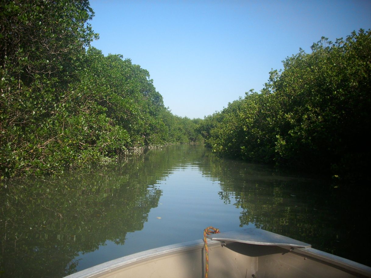 Lugar Estero El Salado