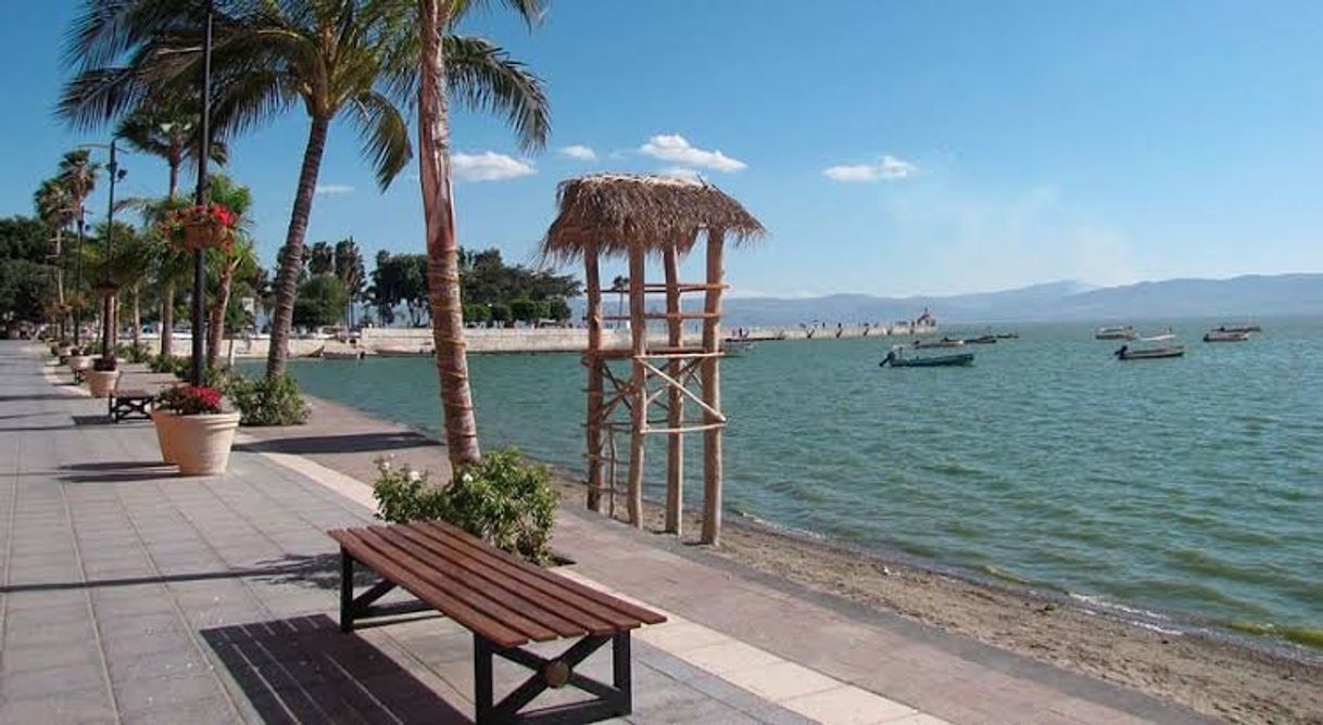 Lugar Lago de Chapala